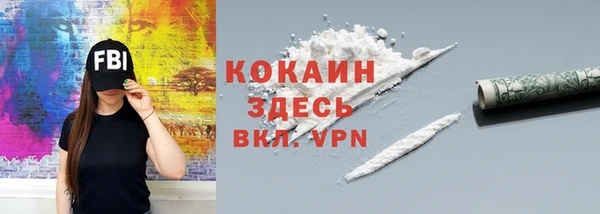 индика Сатка