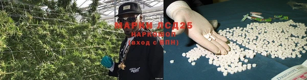 гидропоника Беломорск